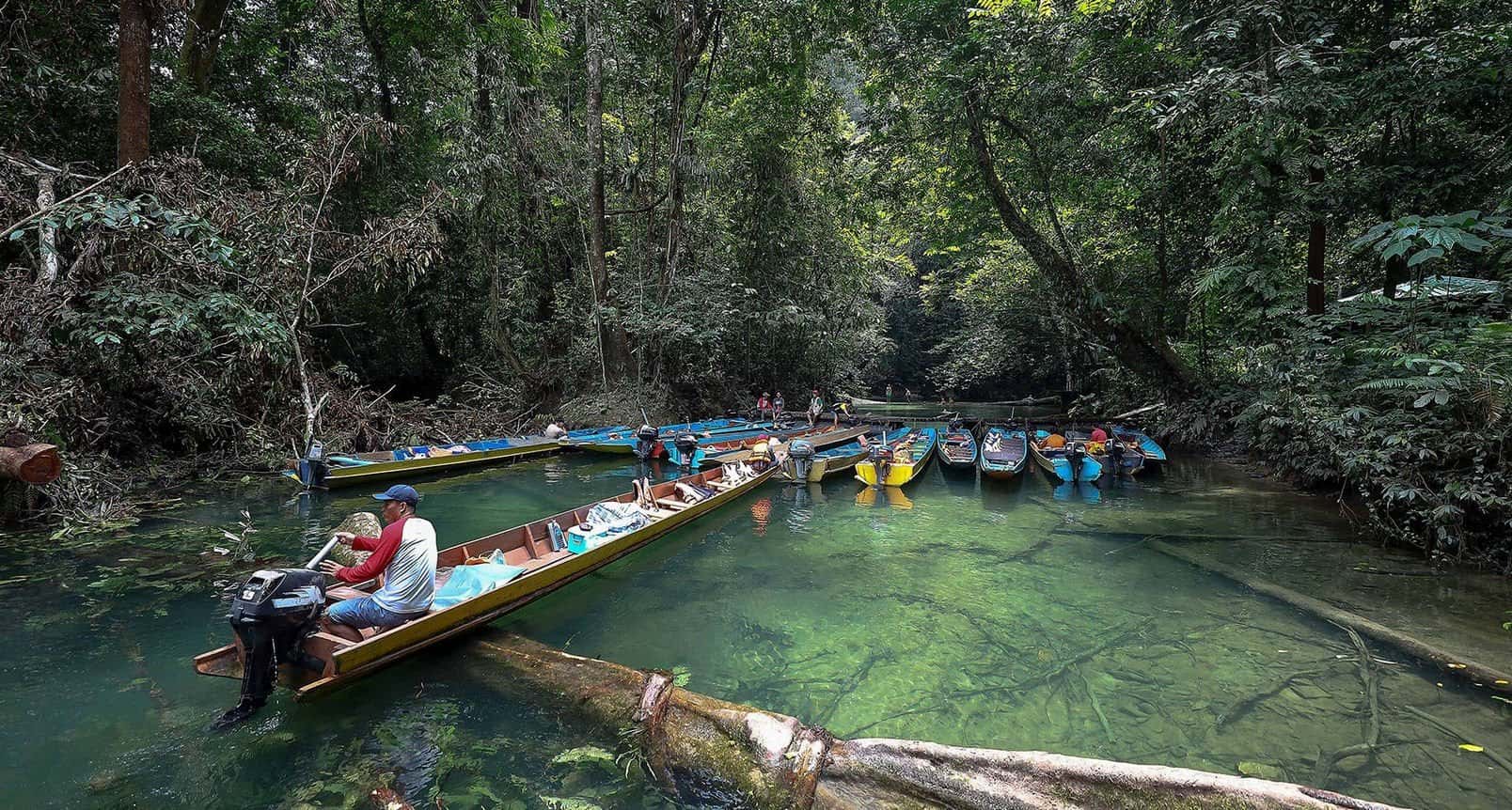 Clear Water Cave, Mulu National Park